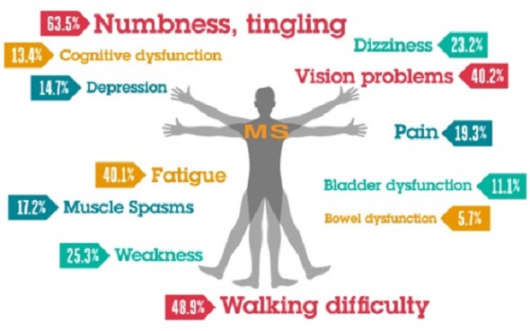 ms disease