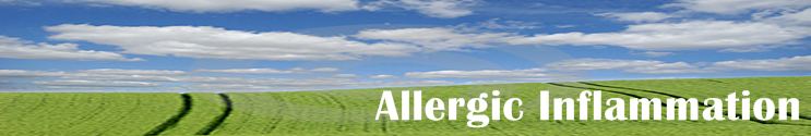 Allergic inflammation info source about allergies and allergic reactions