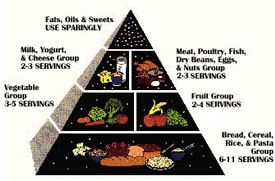 Food Pyramid guide to healthy eating for family and children's health and wellness