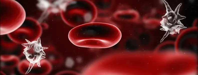 What Is Sepsis: it's a poisoning of the blood