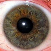 The eye's iris can reveal your state of health!
