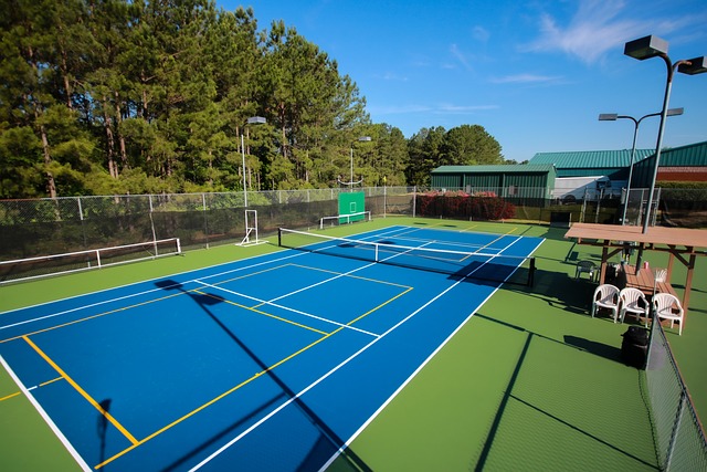Welcome to Pickleball Courts Near me website