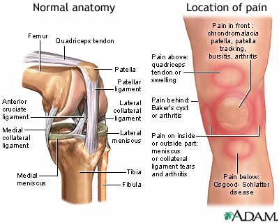 knee injury treatment options
