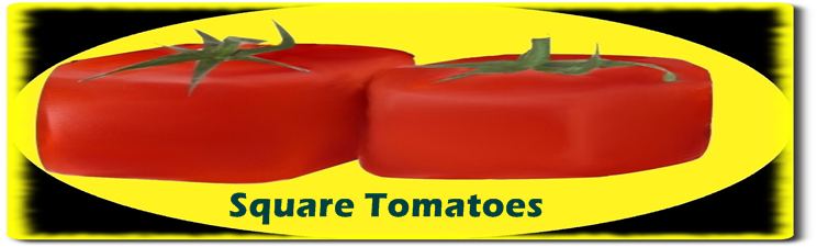 Welcome to square tomatoes information source on rare exotic gourmet tomatoes!