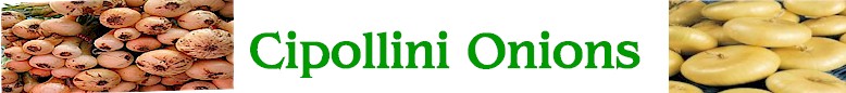 Welcome to cipollini onions information source on great ways to eat and cook cipollini onions!