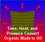 Time, Heat and Pressure Convert Organic Muds to Oil